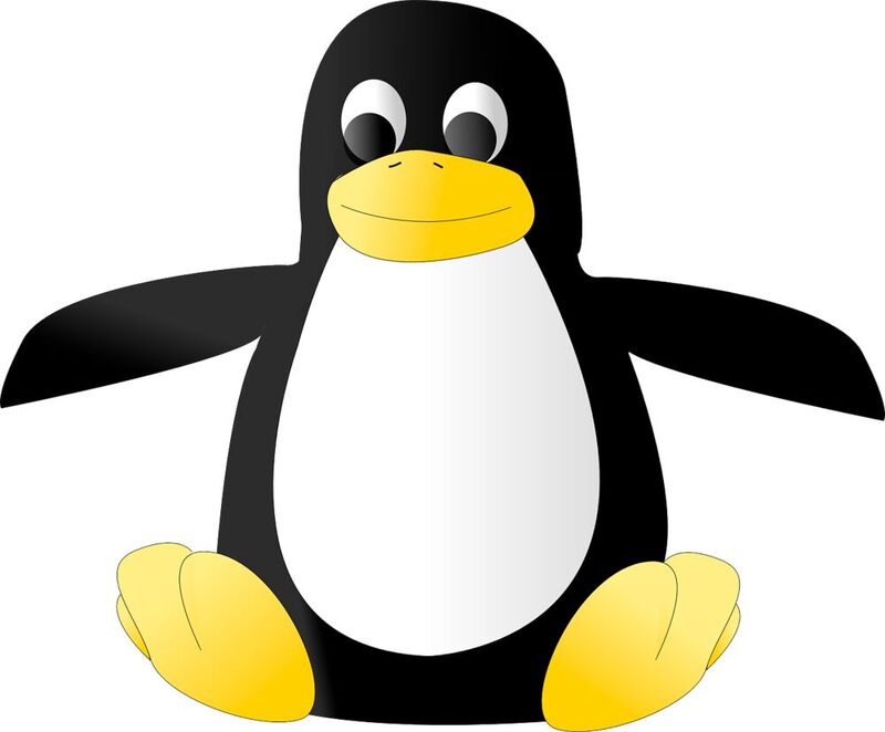 Trotz der vielen verschiedenen Linux-Derivate und Vermarktungsmodelle ist das Open-Source-Betriebssystem die erfolgreichste quelloffene Software. 