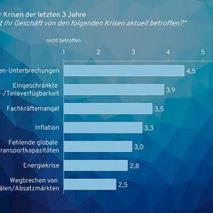 Probleme in der Lieferkette zählen zu den größten Herausforderungen.(Bild:  Munich Strategy)