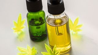 Damit CBD-Öle die gesetzlich vorrgeschriebenen Höchstwerte von Tetrahydrocannabinol nicht überschreiten müssen sie laufend analytisch überwacht werden.  (Bild: Christin Klose)