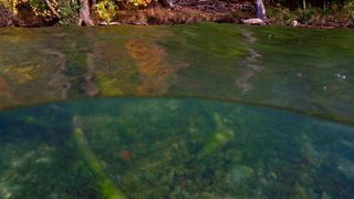 Binnengewässer sind wieder zunehmend mit Sulfat belastet. (Solvin Zankl)