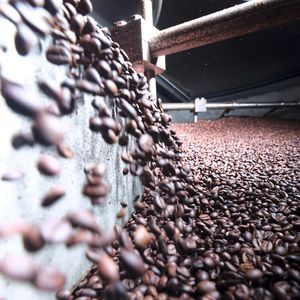 Bis zu 400 Tonnen Kaffeebohnen durchlaufen pro Tag die Produktion der digitalen Pilotfabrik.(Bild:  Schwarz Produktion)