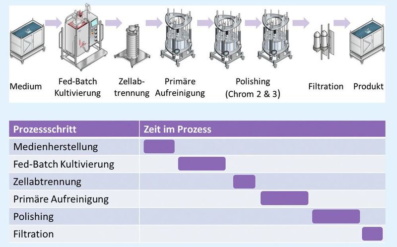 Abb. 1A: Typischer biopharmazeutischer Prozess im Batch-Modus ... (Pall Life Sciences)