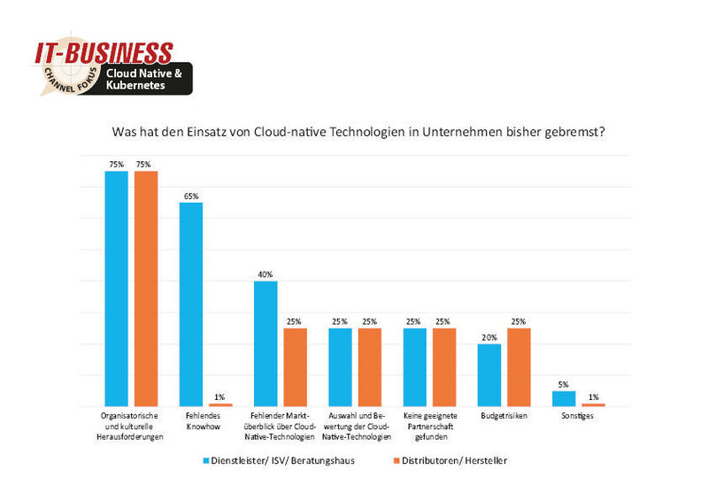 Jedoch bremsen vor allem organisatorische und kulturelle Herausforderungen den Einsatz von Cloud-native Technologien in Unternehmen. (Quelle: IT-BUSINESS)