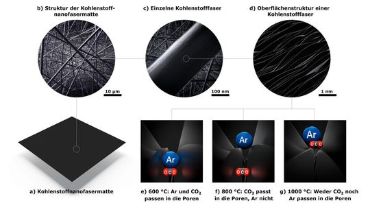Adsorption und Größentrennung von Molekülen in den Fasern(Bild:  Forschungszentrum Jülich / A. Kretzschmar, V. Selmert)