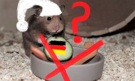Tja, da schaut der deutsche „Hamster-Michel“ trüb aus den Knopfaugen! Weltweit kaufen Unternehmen, was nicht bei drei auf dem Baum ist. Die Deutschen aber würden ausgebootet, meldet dpa.(Bild:  D. Erbrüller)