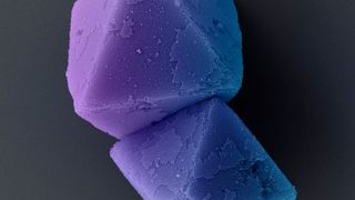 Das Bild zeigt eingefärbte Diamantkristalle aus DNA in einer elektronenmikroskopischen Aufnahme.

 (Bild: Liedl Lab)