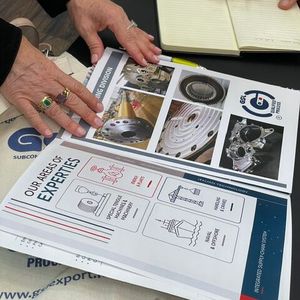 GSL Export est un réseau industriel italien au service des projets internationaux complexes.(Source :  GSL Export)