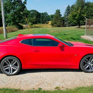 (Foto: Jens Meiners)