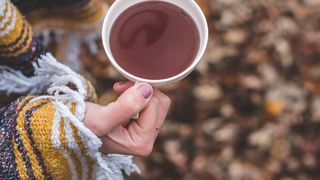 Gerade in der kalten Jahreszeit schätzen viele Menschen eine wärmende Tasse Tee. (gemeinfrei)