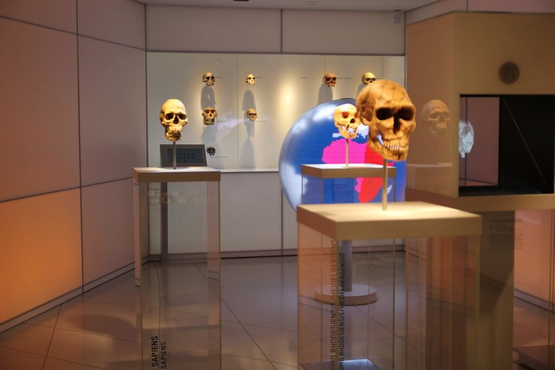 Doch nicht nur Energiespeicher waren am ersten Tag das Thema: Da der Forumsabschluss zunächst im Staatlichen Museum für Archäologie in Chemnitz stattfand, war auch ein kleiner Rundgang durch die Museumsräume für die Teilnehmer vorgesehen. (Bild: Nuissl)