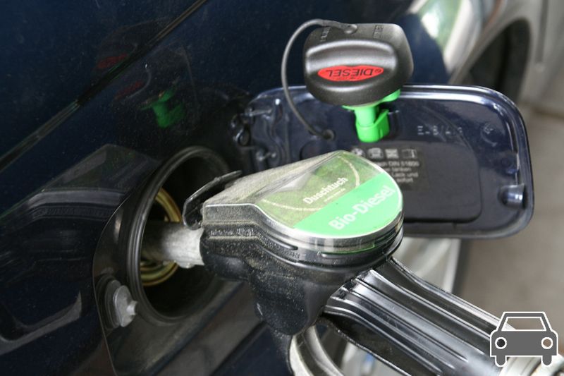 Platz 9: Biodiesel, 5,4 Mio. t CO2-Äq.   Im Verkehrssektor hat Biodiesel im Jahr 2018 rund 5 Mio. t CO2-Äq. eingespart. Auf dem Wasser könnte ein Schwimmfarn als Gleitmittel für Öltanker Vorbild stehen, und so den Schadstoffausstoß von Frachtschiffen erheblich senken. (Bild: Pixabay/goiwara)