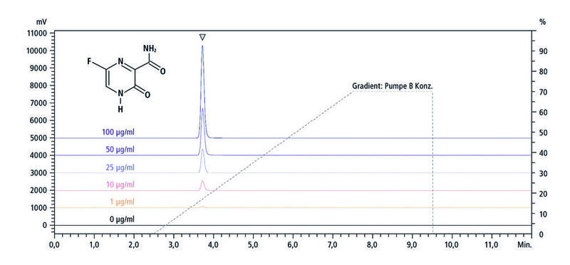 Abb. 3: Chromatogramme von Favipiravir in Blutplasma mit Analytkonzentrationen im Bereich von 1 bis 100 µg/ml. Zusätzlich ist das Gradientenprofil der mobilen Phase als Overlay dargestellt.