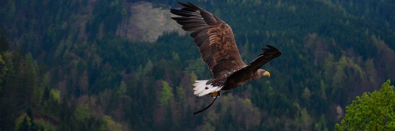 (Bild:  Pixabay, CC0 Public Domain)