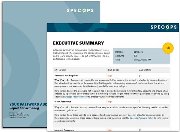 Management Summary für Entscheider (SpecOps Software)