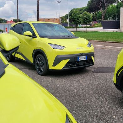 BYD will möglichst schnell auf 50.000 Neuzulassungen pro Jahr in Deutschland kommen. (Bild: Wehner - VCG)