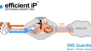 Der DNS Guardian optimiert auch Netzwerkbandbreiten und Latenzzeiten. (Bild: EfficientIP)