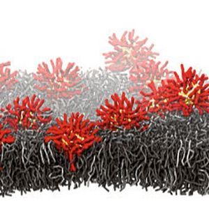 (Fabio Lolicato, Universität Helsinki)