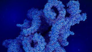 New research focused on mTOR, the protein at the center of the most commonly altered pathway in cancer, which is the working engine of two different protein complexes, mTORC1 (shown here) and mTORC2. (Source: Brown University )