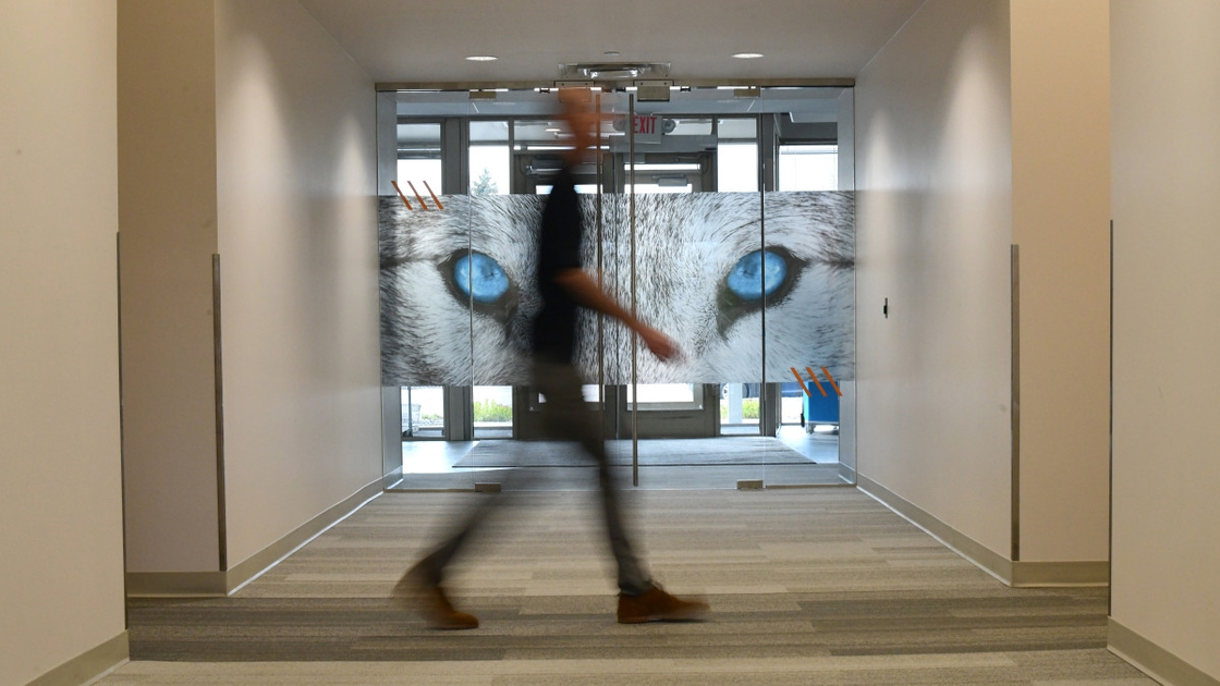 Security Operations Center: Arctic Wolf kooperiert künftig mit AWS