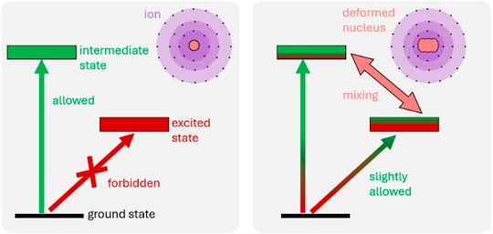 Anders als andere Atome (l.) hat Ytterbium-173 (r.) einen großen Kernspin und einen stark deformierten Kern, dessen starke Felder mit der Elektronenhülle wechselwirken. Dadurch werden verbotene Quantensprünge zu erlaubten Übergängen (s. rotgrüner Pfeil „slightly allowed“). Damit lässt sich der Übergang leichter mit einem Laser anregen. (Bild:  PTB)