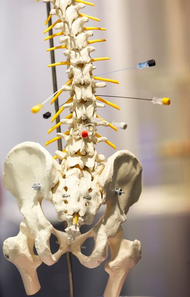 Impressionen von der Compamed 2015. (Bild: Messe Düsseldorf)