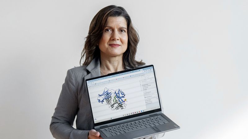 Wie unterscheidet man gesundes Gewebe von einer Krebszelle? Für dieses Rätsel haben Paula Videira und ihr Team nun eine Lösung entwickelt: den monoklonalen Antikörper L2A5. L2A5 zielt auf einzigartige Signaturen ab, die ausschließlich an der Oberfläche von Tumorzellen zu finden sind, sodass eine präzise Erkennung möglich ist. Das bietet wiederum neue Möglichkeiten für eine zuverlässigere Diagnose und erleichtert die Entwicklung gezielter Therapien. (Bild: EPO)