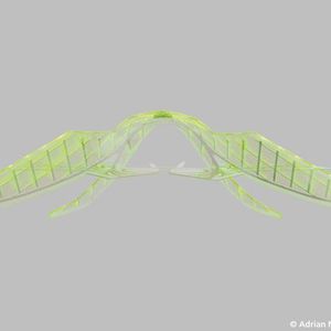 (Bild: A. Nießler, Pixelgarten)