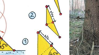 Kerben sind Schwachstellen. Mit einer Formgebung nach dem Vorbild der Natur können sie aber so optimiert werden, dass sie weniger hohe Spannungskonzentrationen bewirken. (KIT)
