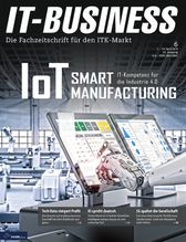 IT-BUSINESS #6/2019 (It-BUSINESS)