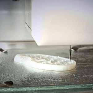 Mit dem Bioplotter lässt sich das zähflüssige Nanocellulose-Hydrogel zu komplexen Formen ausdrucken.