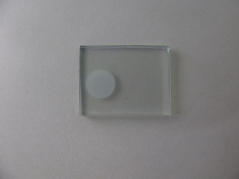 Abb. 6: Runde TiO2 Schicht (Bild: Universität Basel/Nik Hostettler)