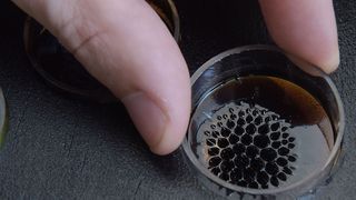 Ein genauer Blick in den „Malkasten“ zeigt: Die spezielle Farbmischung bildet im Magnetfeld Muster und Formen (Ausschnitt). (WWU / Peter Grewer)