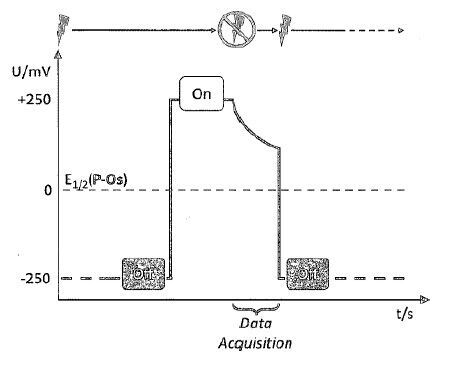 Implantierbarer Biosensor(Bild:  Ruhr-Universität Bochum/DPMA)