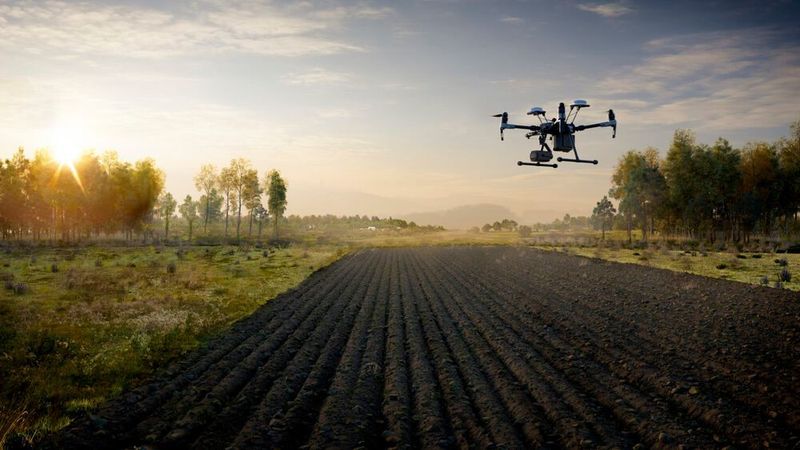 Diese intelligente, GPS-gesteuerte Drohne überwacht mit Kameras und Sensoren das Wachstum von Pflanzen auf einem Acker. Andere Drohnen sind in der Lage, Veränderungen durch Vorher-nachher-Vergleiche zu entdecken. Ihre Daten werden häufig direkt in eine Cloud-basierte Lösung gesendet, die skalierbar genug ist, die enormen Datenmengen zu speichern und sofort zu analysieren. (© DJI)