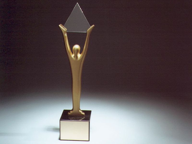 (Quelle:  Stevie Awards)