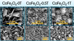 Das sind Rasterelektronenmikroskop-Aufnahmen von Dünnschichten aus Kobalt-Eisen-Oxid. Die Schichten werden zur Synthese von Ammoniak genutzt. Das Besondere ist, dass zwei zuvor Magnetfeldern ausgesetzt wurden (0,5 und ein Tesla), was die Rauhigkeit und damit die Effizienz deutlich erhöht ... (Bild: S. Mathur / Universität Köln)
