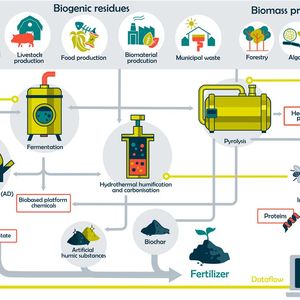 Überblick über das Konzept der intelligenten, integrierten Bioraffinerie(Bild:  ATB)
