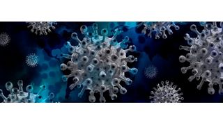 SARS-CoV-2 infiziert Zellen über virale Türöffner, die bei Älteren, Männern und Rauchern vermehrt vorkommen. (Symbolbild) (gemeinfrei)