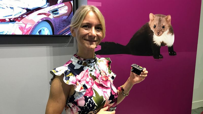 Sari Melcher von Stop&Go zeigte die neueste Generation des Marderabwehrsystems: die Hochspannungs-Platten lassen sich zusammenklappen und so besonders einfach montieren. (Rosenow/»kfz-betrieb«)