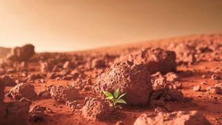 Forscher haben in hoher Ausbeute aus CO2 elektrochemisch Sauerstoff erzeugt. Das neue Verfahren könnte sich für eine bemannte Mission zum Mars eignen (Symbolbild). (Bild: ideogram-ai / KI-generiert)