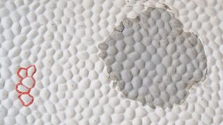 Mit einem auf der Außenhaut des Wohnmobils angefertigten Stempel wird die Struktur auf der reparierten Fläche dupliziert. (Bild: Rosenow)