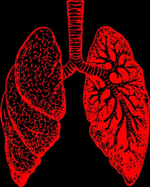 Für chronisch obstruktive Lungenkrankheit, deren Hauptsymptom der chronische Raucherhusten ist, wird bis zum Jahr 2050 ein Patientenzuwachs von 1,5 Millionen prognostiziert. Weitere interessante Beiträge rund um das Thema Gesundheit:    - Was steuert unsere Lebenserwartung?      - Was sagt die Genetik über Ursachen der Schlaflosigkeit?      - Leere Bäuche lernen gerne?   (Bild: Clker-Free-Vector-Images/gemeinfrei)