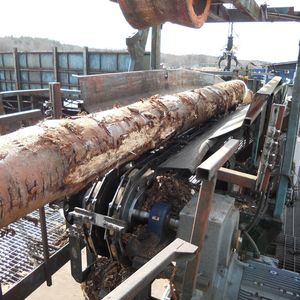 Im Sägewerk der schwedischen Unternehmens Derome fallen schwere Baumstämme zur Weiterverarbeitung auf ein Transportband und verursachen heftige Stoßbelastungen; eine echte Bewährungsprobe für die Lager.