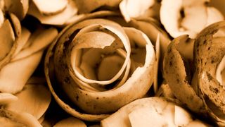 Mit „grüner Chemie“ entwickeln vier Nachwuchsforschende an der TU Freiberg innovative Verfahren, um landwirtschaftliche Reststoffe in Membranen und Beschichtungen umzuwandeln. (Bild: frei lizenziert)