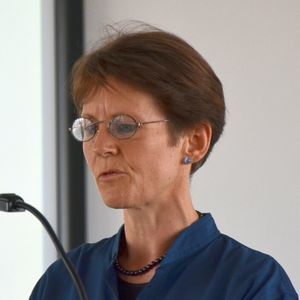 Dr. Andrea Möck begrüßte die Gäste im Namen der Wieland-Werke in Vöhringen. Bild: Michel