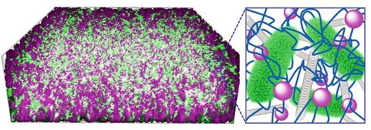 Die Bakterien (grün) sind in einem Kompositmaterial aus Kohlenstoff-Nanoröhrchen (grau) und Kieselsäure-Nanopartikeln (lila) verwoben mit DNA (blau) eingebettet. Die Bakterien (grün) sind in einem Kompositmaterial aus Kohlenstoff-Nanoröhrchen (grau) und Kieselsäure-Nanopartikeln (lila) verwoben mit DNA (blau) eingebettet.