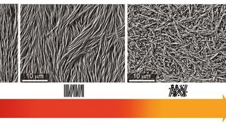 Die Elektronenmikroskop-Aufnahmen zeigen die innere Struktur des Zahnschmelzes von außen (links) nach innen (rechts). In der äußeren Schicht sind die Apatit-Bündel parallel angeordnet, in der mittleren Schicht sind sie bereits leicht miteinander verwoben und im inneren Zahnschmelz bilden die Bündel eine stark verwobene Struktur. Die Zahnschmelzschichten sind farbcodiert auch noch schematisch dargestellt. Aufgrund der unterschiedlichen Eigenschaften bricht vor allem der äußere Zahnschmelz ab, und die spitze Form des Zahns bleibt erhalten (rechts unten). (Bild: © Max-Planck-Institut für Kolloid- und Grenzflächenforschung/Nature Communications 2020 )