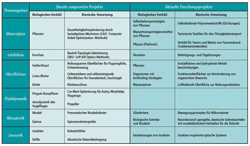 Überblick: Beispiele bionischer Lösungen und aktueller Forschungsprojekte (Archiv: Vogel Business Media)