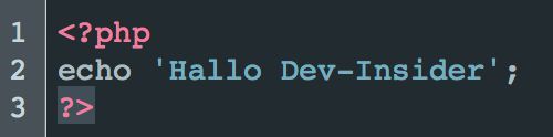 Auch der „Hallo Welt“-Befehl – hier als „Hallo Dev-Insider“ ist ausgesprochen simpel. (Rentrop / Tincta)