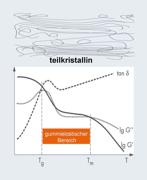 Abb.4a+b+c: Temperaturverläufe des Speicher- (G’) und Verlustmoduls (G’’) eines typischen amorphen (a), teilkristallinen (b) und vernetzten  Polymers (c). Der Verlustfaktor tan() beschreibt das Verhältnis von elastischem zu viskosem Verhalten tan(d) = G’’/G’. (Archiv: Vogel Business Media)